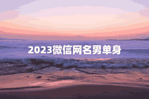 2023微信网名男单身